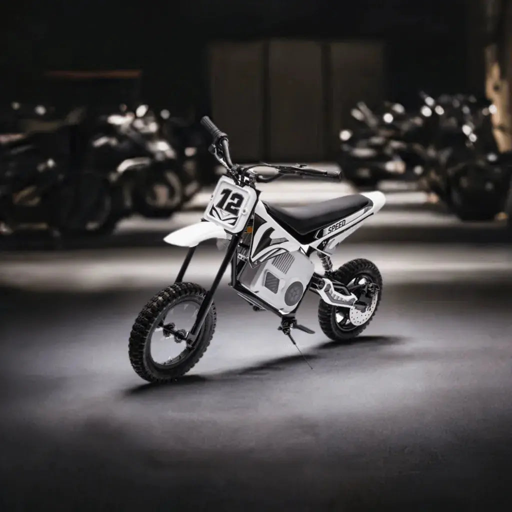 36V 350W High Speed Electric Dirt Bike with Brushless Motor for Big Kids with Air-Filled Rubber Tires