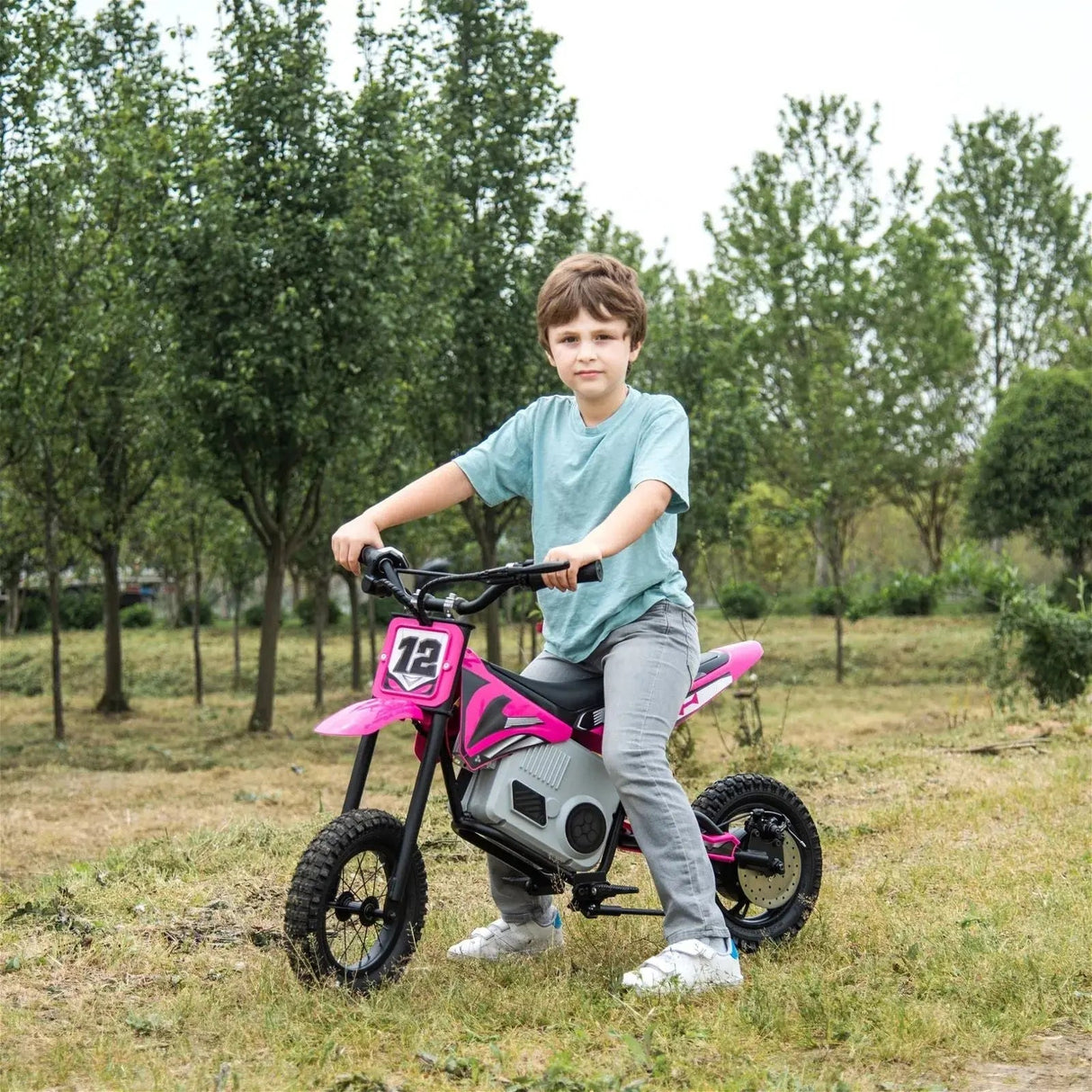36V 350W High Speed Electric Dirt Bike with Brushless Motor for Big Kids with Air-Filled Rubber Tires