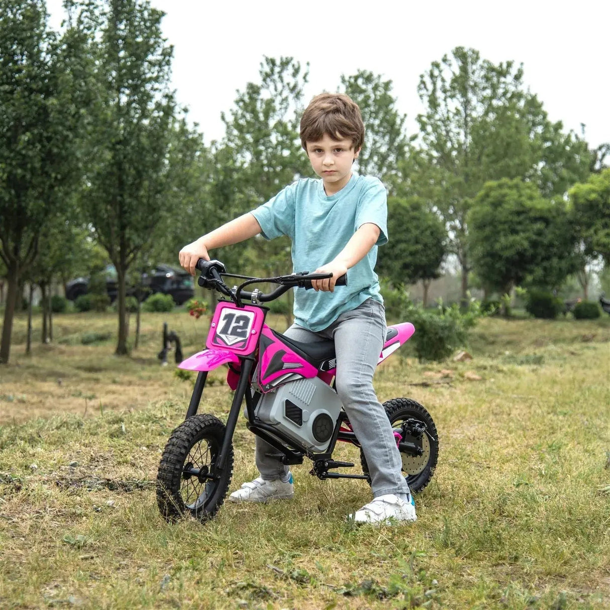 36V 350W High Speed Electric Dirt Bike with Brushless Motor for Big Kids with Air-Filled Rubber Tires
