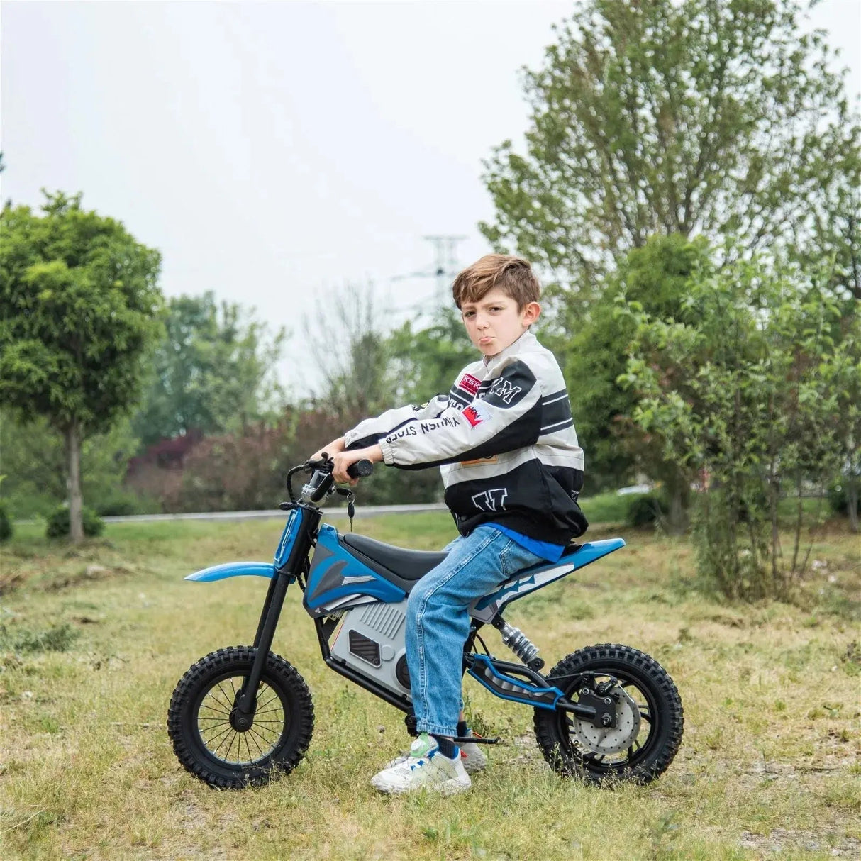 36V 350W High Speed Electric Dirt Bike with Brushless Motor for Big Kids with Air-Filled Rubber Tires