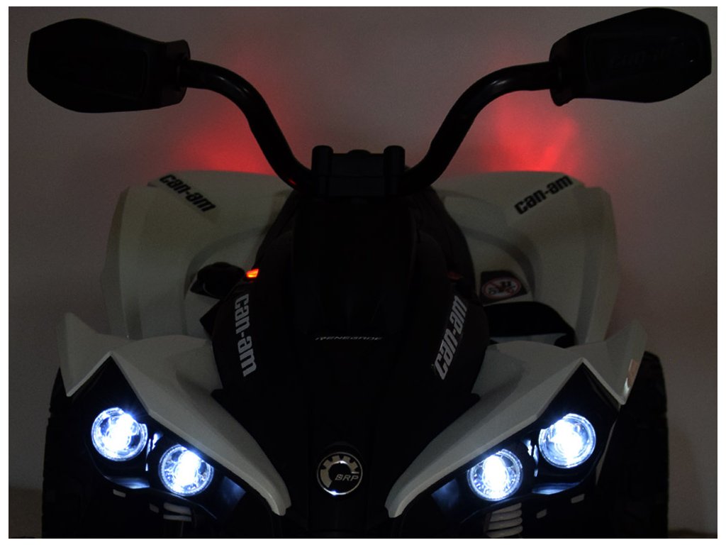 Green 24V Premium Edition Can-Am Renegade 4WD Ride-On Quad ATV for Kids