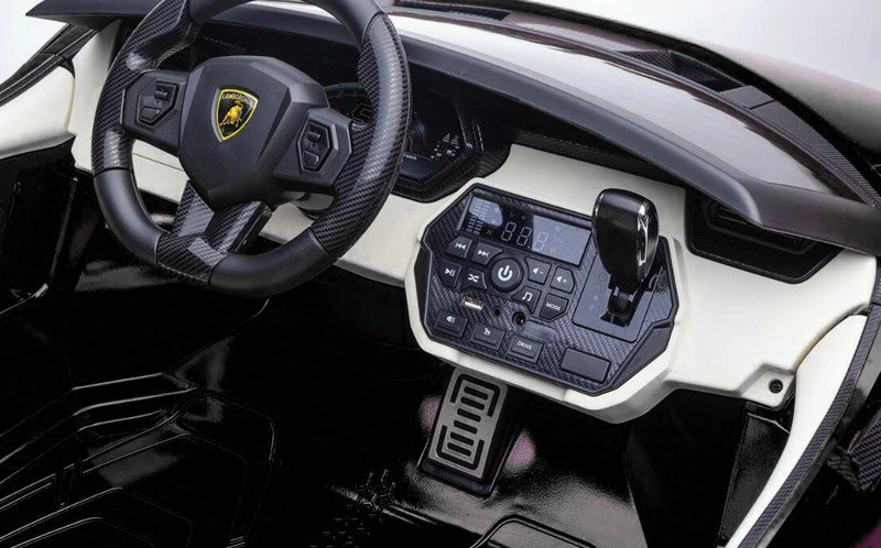 Black 24V Official LX Lamborghini Sian 2-Seat Ride On Car with RC