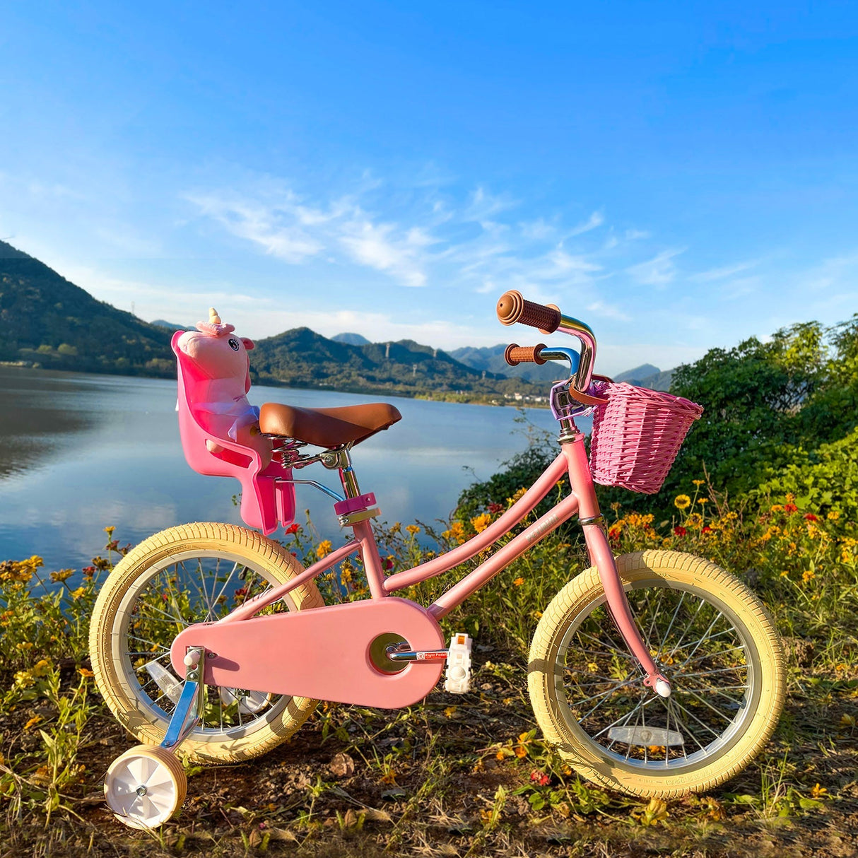 Doll Bike Seat