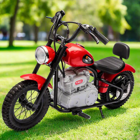 36V 350W E-Chopper Motorbike with Air-Filled Rubber Tires, Brushless Motor