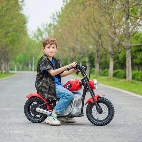 36V 350W E-Chopper Motorbike with Air-Filled Rubber Tires, Brushless Motor