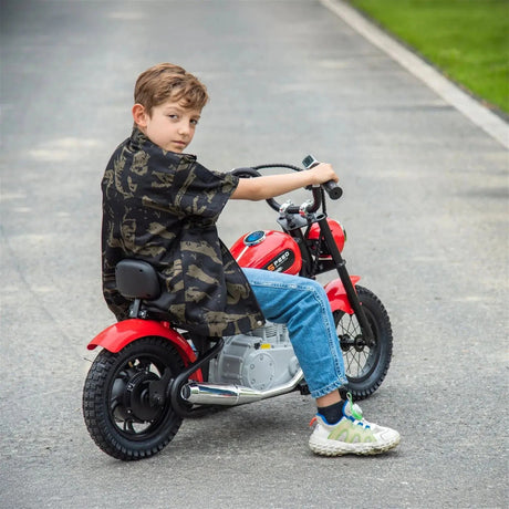 36V 350W E-Chopper Motorbike with Air-Filled Rubber Tires, Brushless Motor