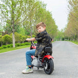 36V 350W E-Chopper Motorbike with Air-Filled Rubber Tires, Brushless Motor