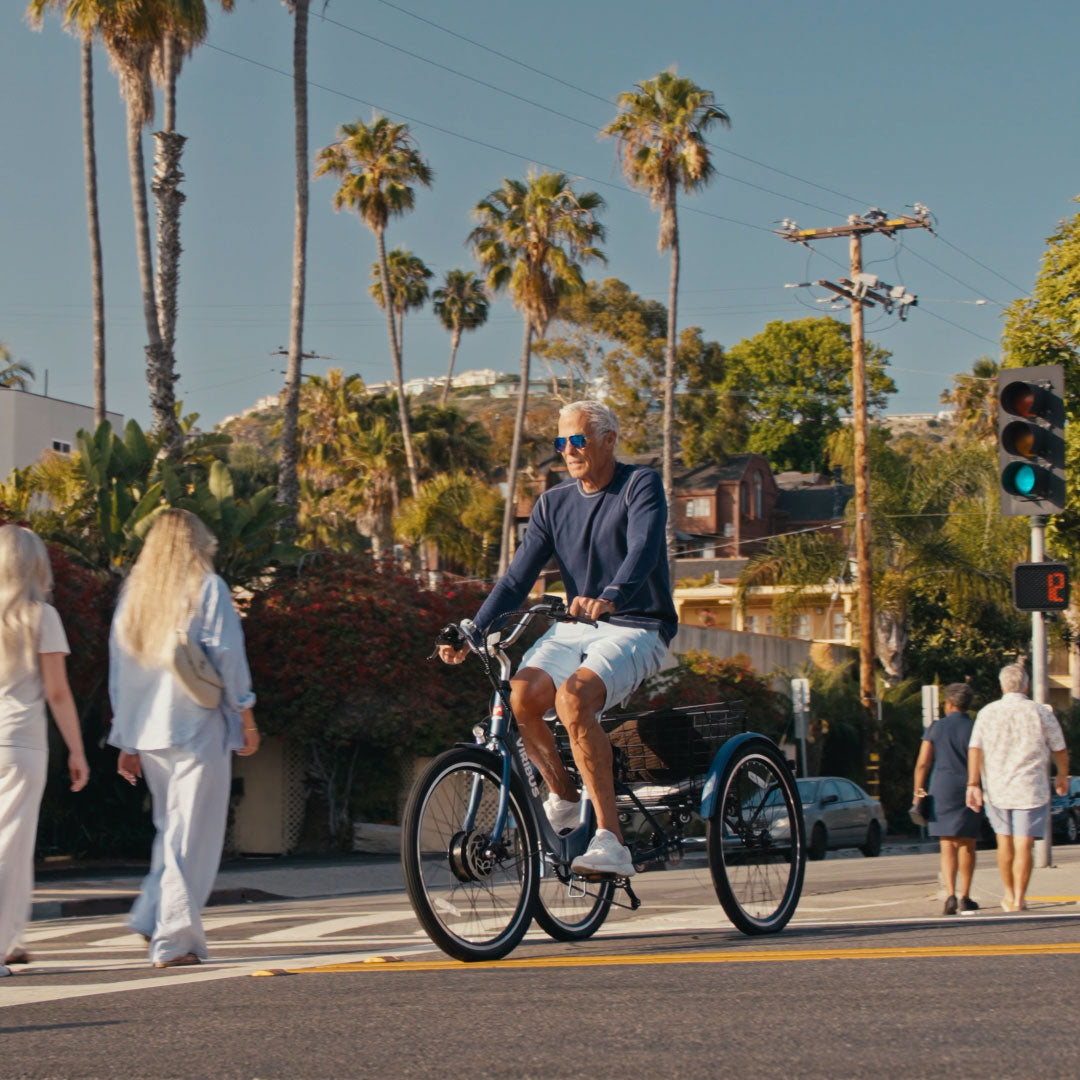 Viribus TG1 Folding Electric Tricycle