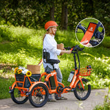 Viribus FC2 Folding Electric Tricycle