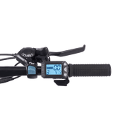 Viribus Panther Electric Mountain Bike