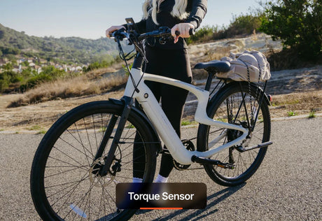 Urtopia Carbon Classic  Bicycle