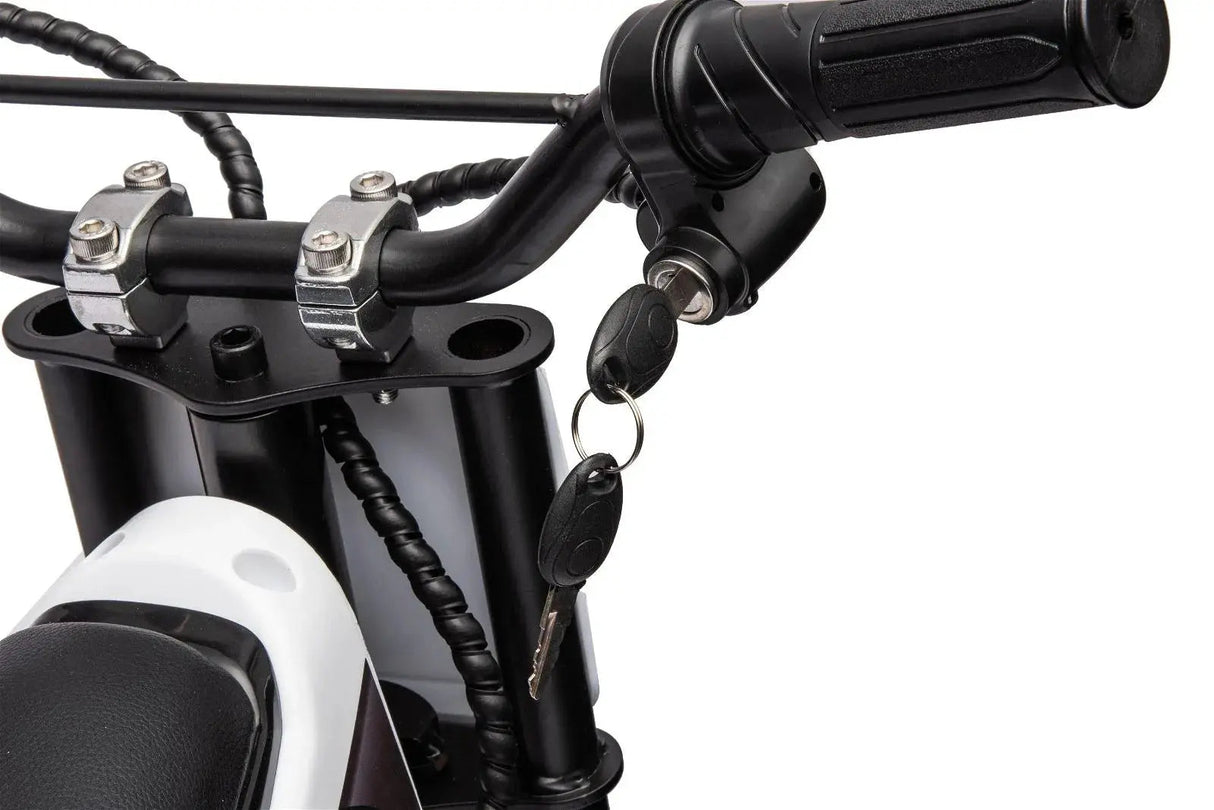 36V 350W High Speed Electric Dirt Bike with Brushless Motor for Big Kids with Air-Filled Rubber Tires