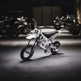 36V 350W High Speed Electric Dirt Bike with Brushless Motor for Big Kids with Air-Filled Rubber Tires