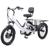 Viribus SC5 Fat Tire Electric Tricycle