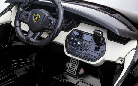 Black 24V Official LX Lamborghini Sian 2-Seater Ride On Car with Music, RC