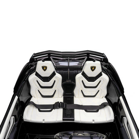 Black 24V Official LX Lamborghini Sian 2-Seater Ride On Car with Music, RC