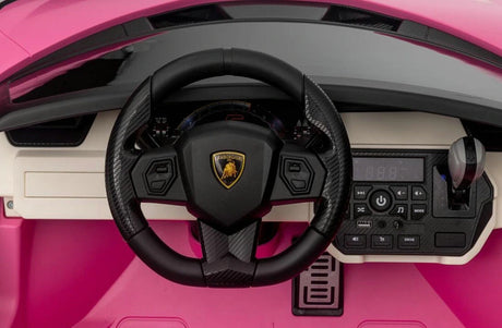 Pink 24V Official LX Lamborghini Sian 2-Seater Ride On Car with Music, RC