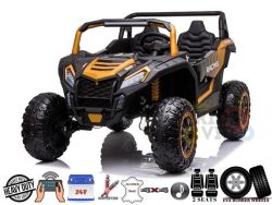 2 Seater XXL 24V Buggy with RC
