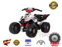 Page44 1 3 Things To Consider Before Buying An Electric Atv For Kids
